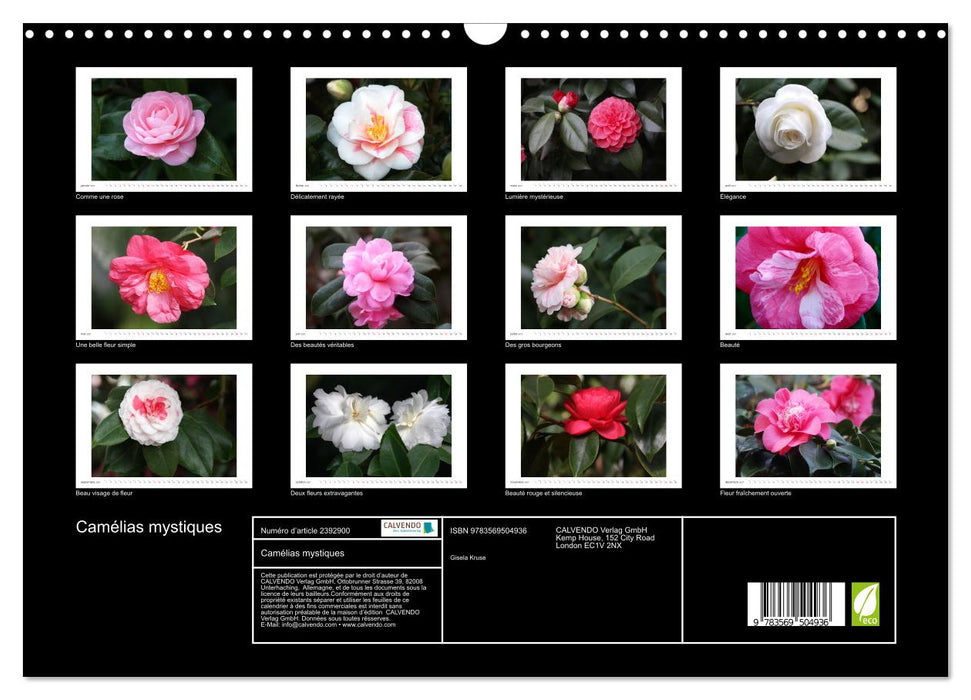 Camélias mystiques (CALVENDO Calendrier mensuel 2027)