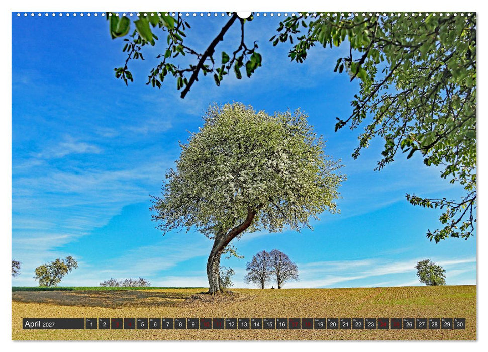 Karlsruhes Osten (CALVENDO Premium Wandkalender 2027)