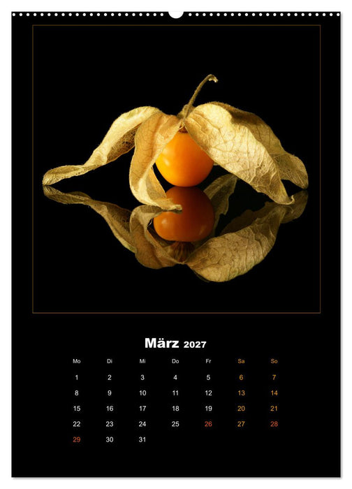 Vegan Food Kalender – Obst und Gemüse auf Schwarz (CALVENDO Premium Wandkalender 2027)