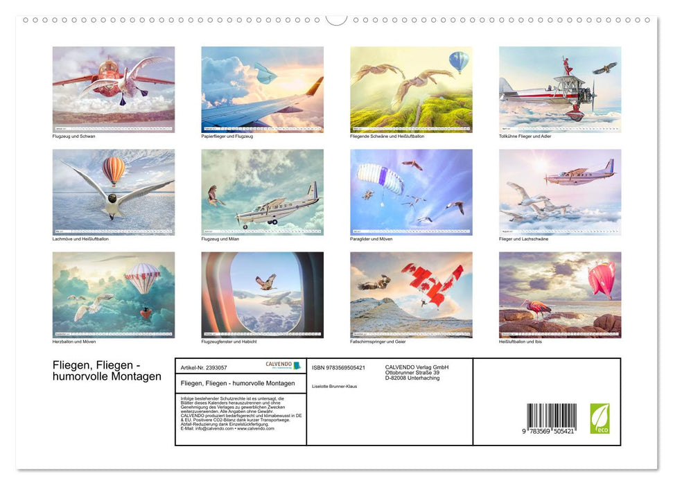 Fliegen, Fliegen - humorvolle Montagen (CALVENDO Premium Wandkalender 2027)