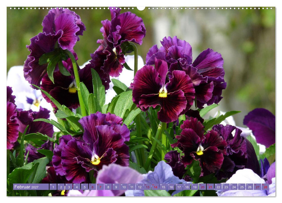 Liebenswerte Blüten (CALVENDO Wandkalender 2027)