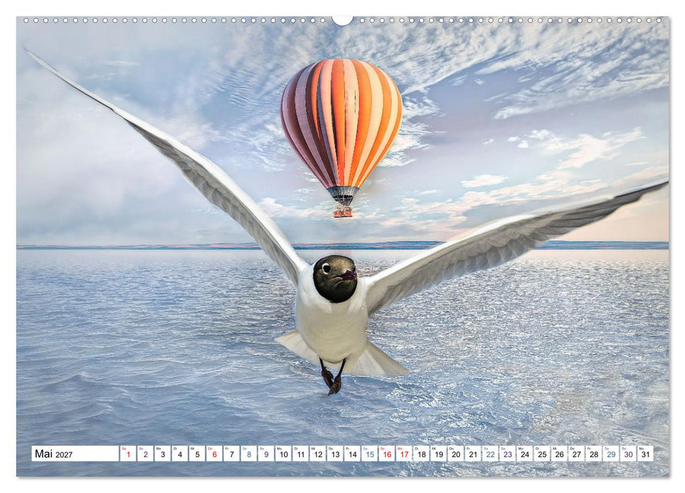 Fliegen, Fliegen - humorvolle Montagen (CALVENDO Wandkalender 2027)