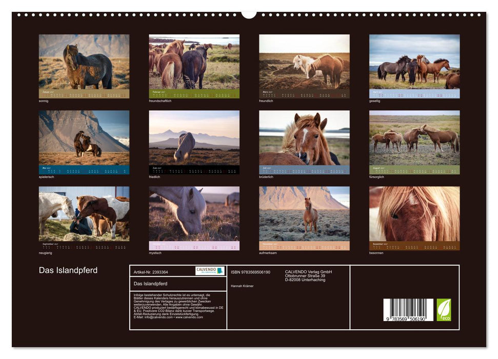 Das Islandpferd (CALVENDO Premium Wandkalender 2027)