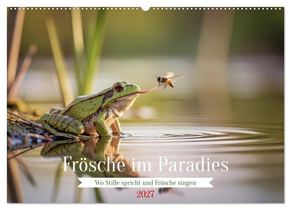 Frösche im Paradies (CALVENDO Wandkalender 2027)