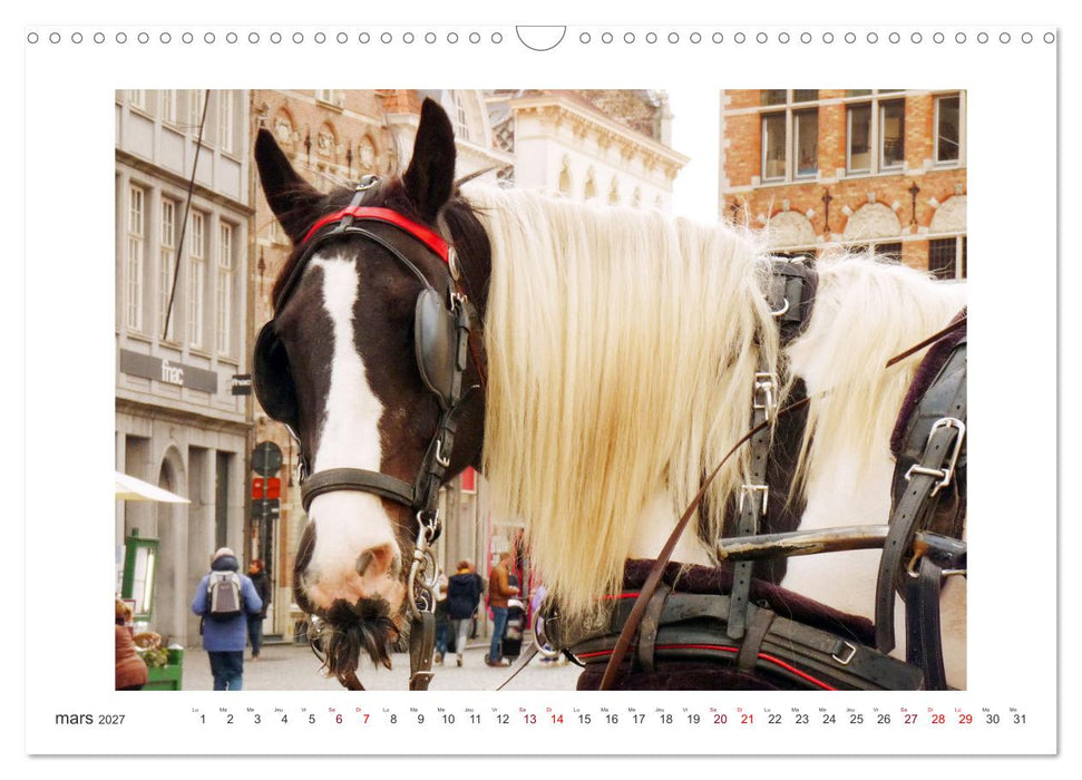 Profiter de Bruges (CALVENDO Calendrier mensuel 2027)