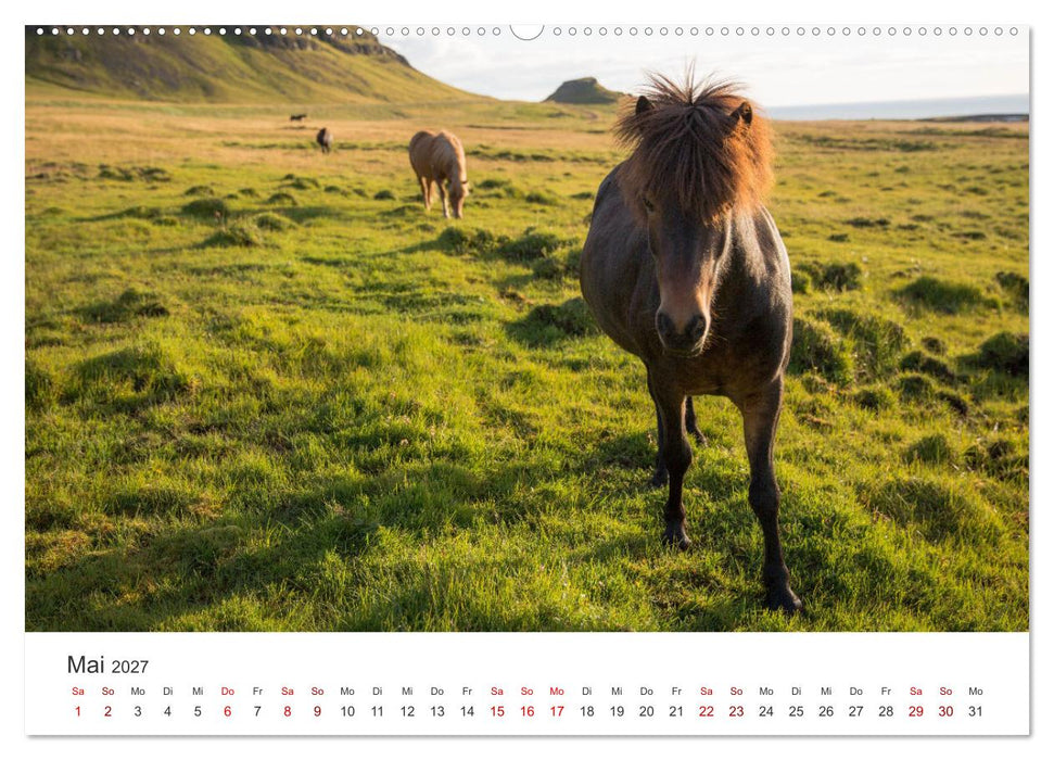 Island - Mehr als nur eine Insel. (CALVENDO Wandkalender 2027)