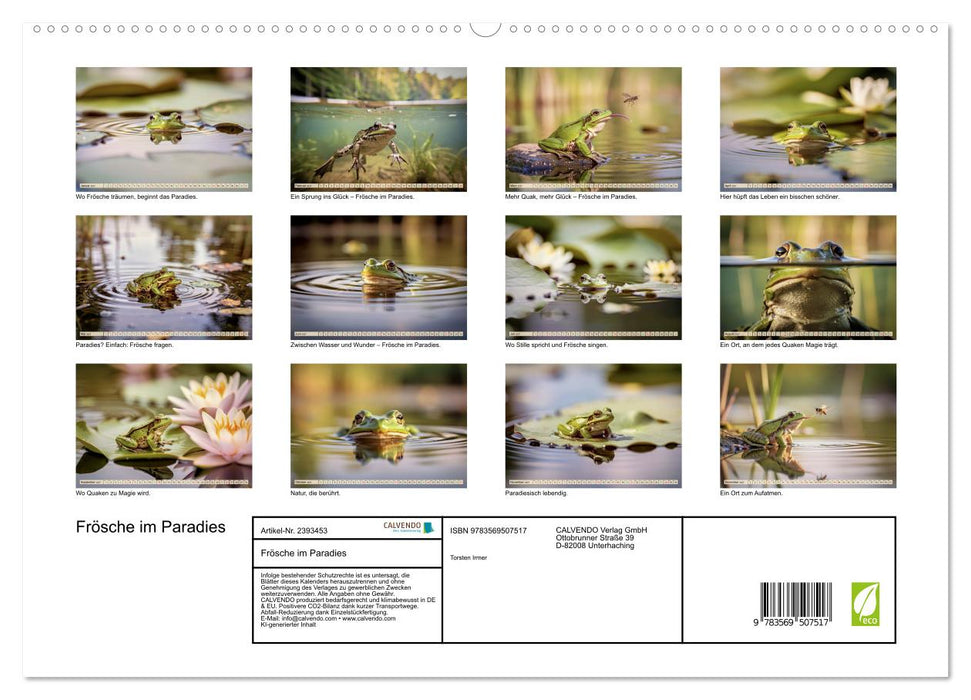 Frösche im Paradies (CALVENDO Premium Wandkalender 2027)