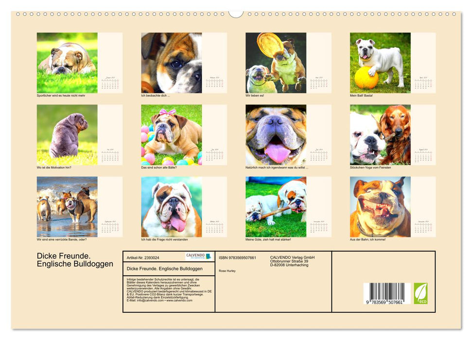 Dicke Freunde. Englische Bulldoggen (CALVENDO Premium Wandkalender 2027)