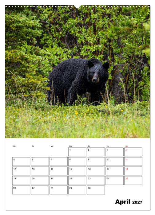Mein Schönes Kanada (CALVENDO Wandkalender 2027)