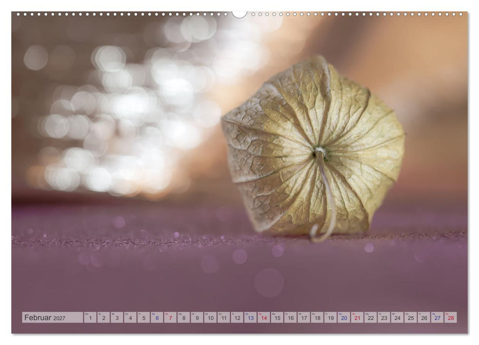 Kunstvolle Physalis-Kleine Frucht von großer Faszination (CALVENDO Wandkalender 2027)