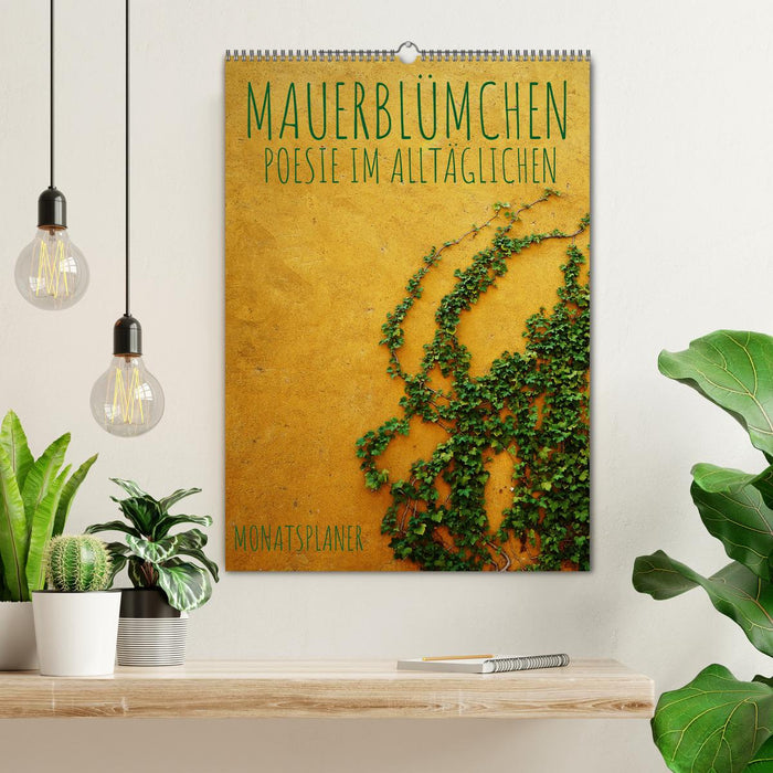 Mauerblümchen - Poesie im Alltäglichen als Monatsplaner (CALVENDO Wandkalender 2027)