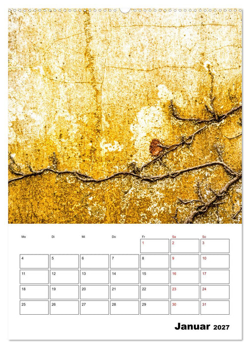 Mauerblümchen - Poesie im Alltäglichen als Monatsplaner (CALVENDO Wandkalender 2027)