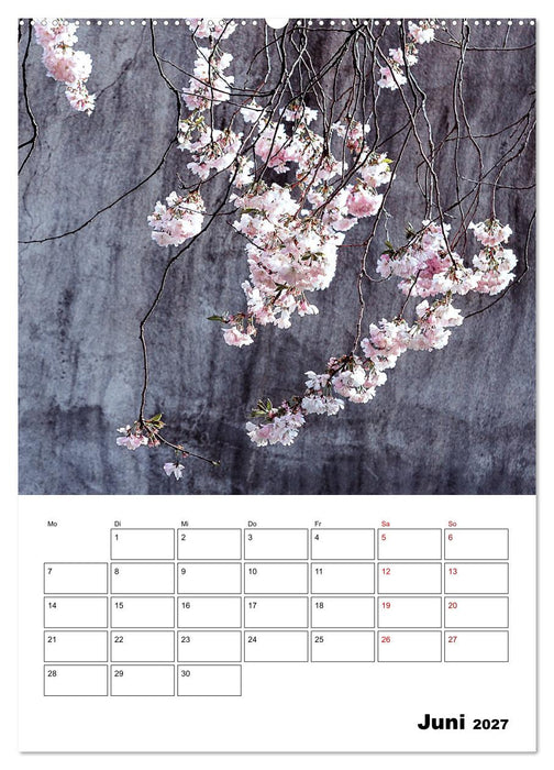 Mauerblümchen - Poesie im Alltäglichen als Monatsplaner (CALVENDO Wandkalender 2027)