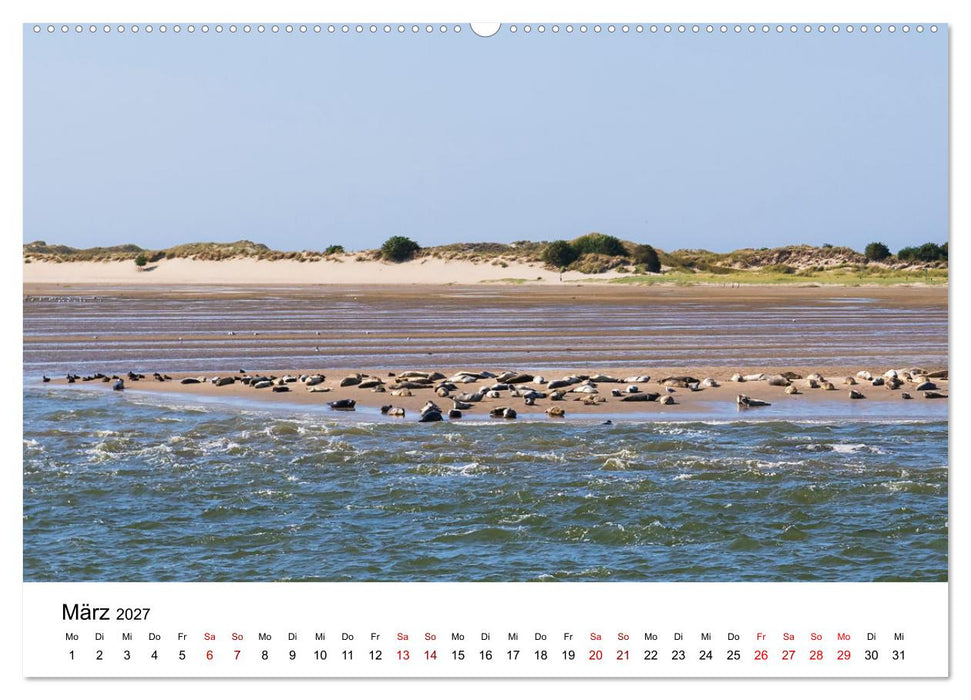Ostfriesland - Ein Jahr in Bildern (CALVENDO Wandkalender 2027)