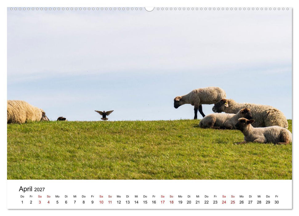 Ostfriesland - Ein Jahr in Bildern (CALVENDO Wandkalender 2027)
