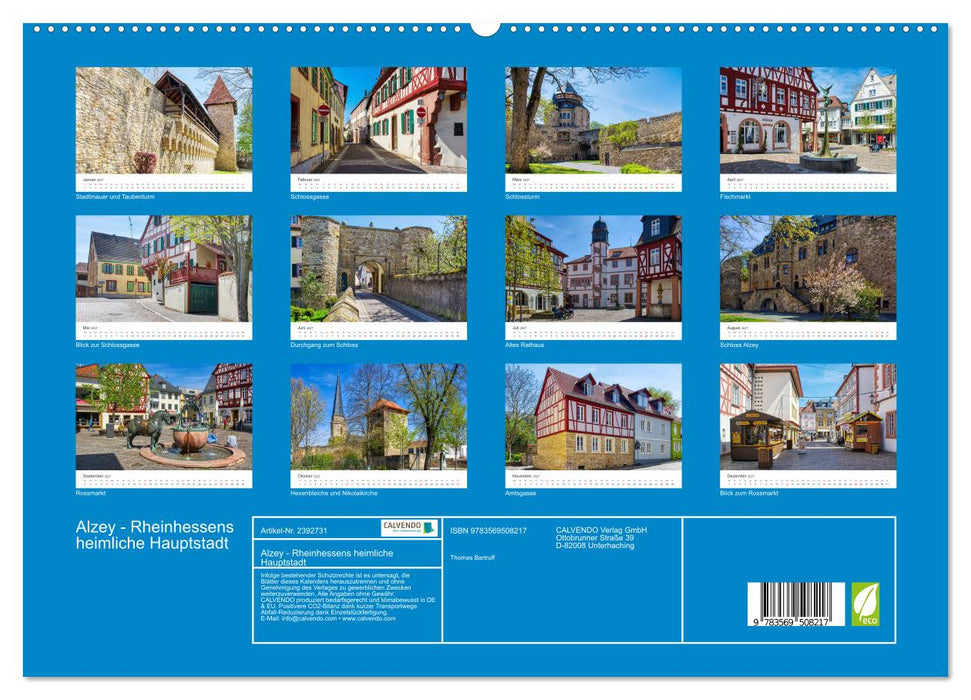 Alzey - Rheinhessens heimliche Hauptstadt (CALVENDO Premium Wandkalender 2027)