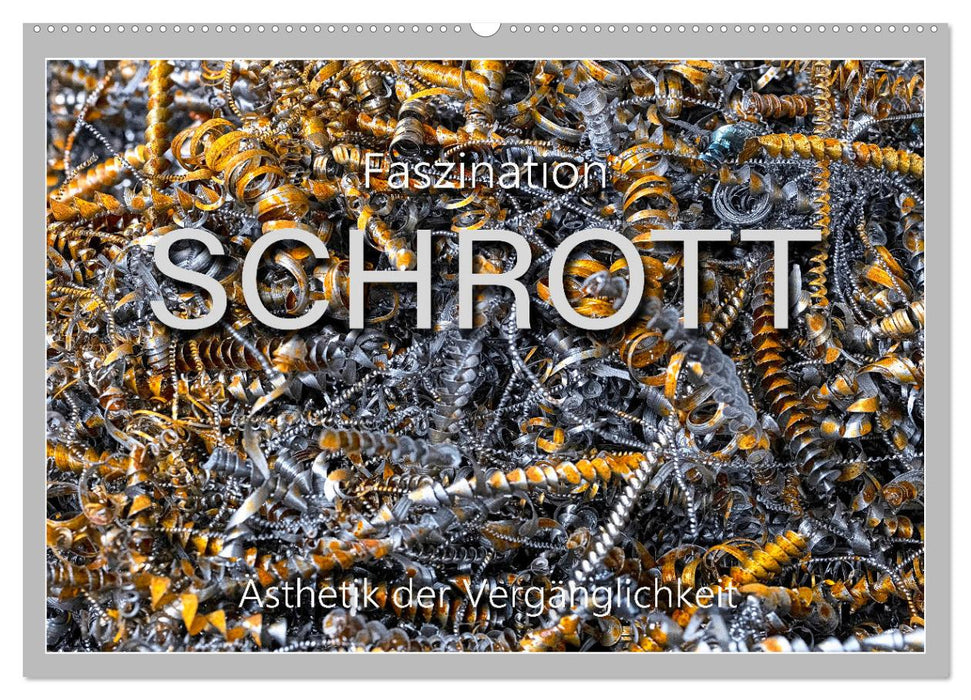 Faszination Schrott (CALVENDO Wandkalender 2027)