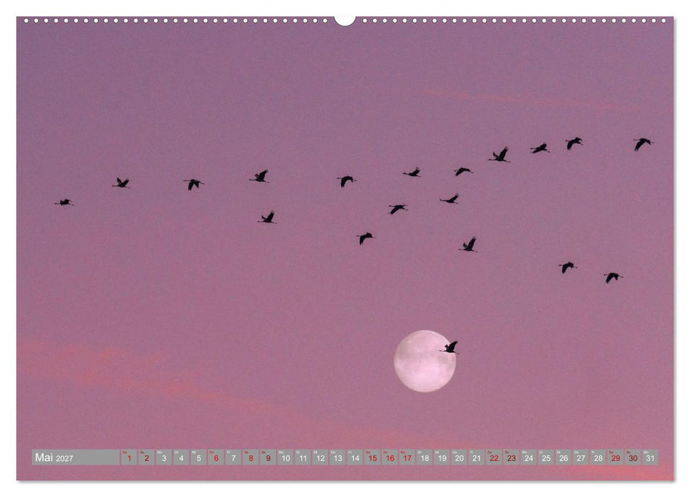 Vollmond - Momente der Ruhe (CALVENDO Wandkalender 2027)