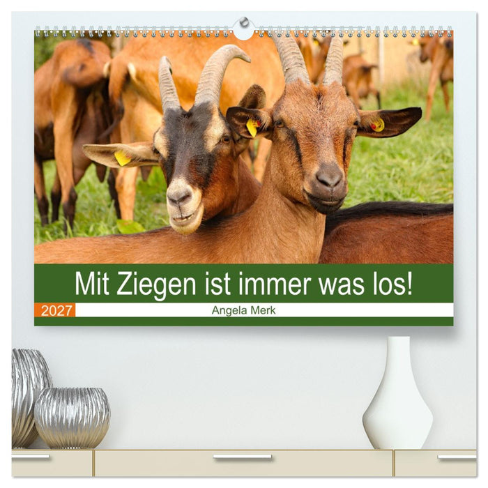 Mit Ziegen ist immer was los! (CALVENDO Premium Wandkalender 2027)