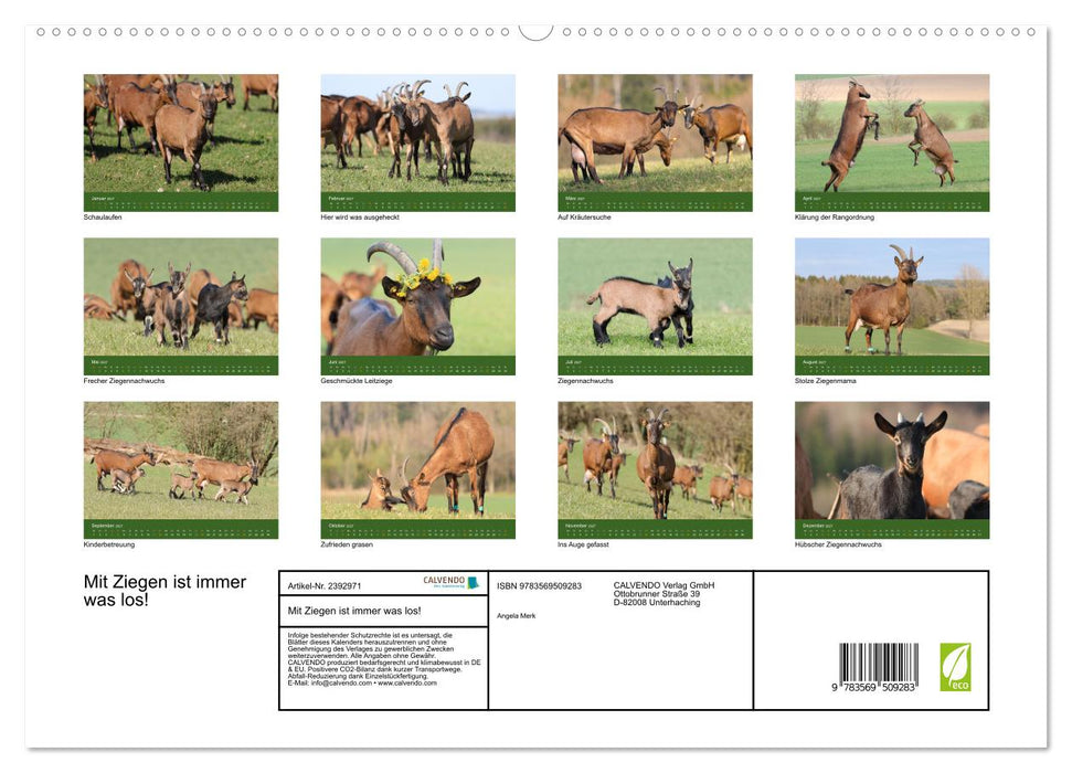Mit Ziegen ist immer was los! (CALVENDO Premium Wandkalender 2027)