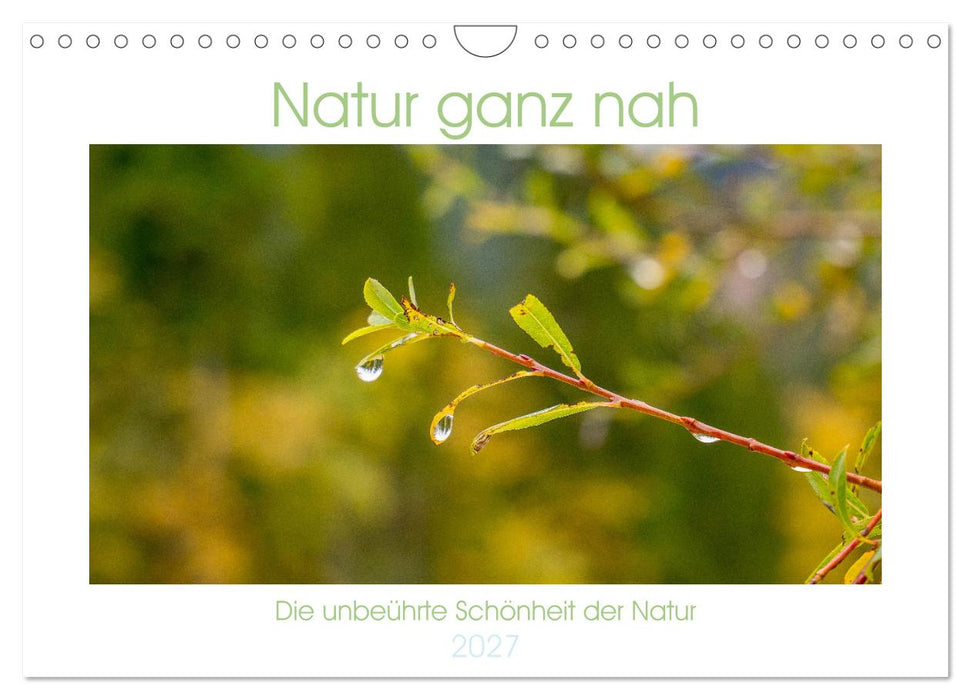 Natur hautnah Kalender (CALVENDO Wandkalender 2027)