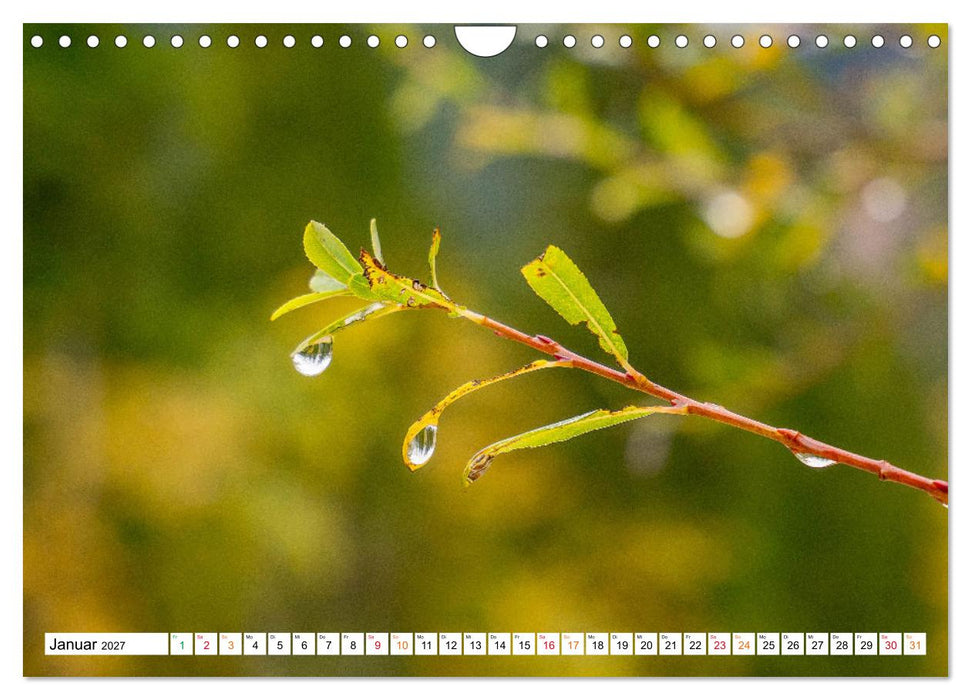 Natur hautnah Kalender (CALVENDO Wandkalender 2027)