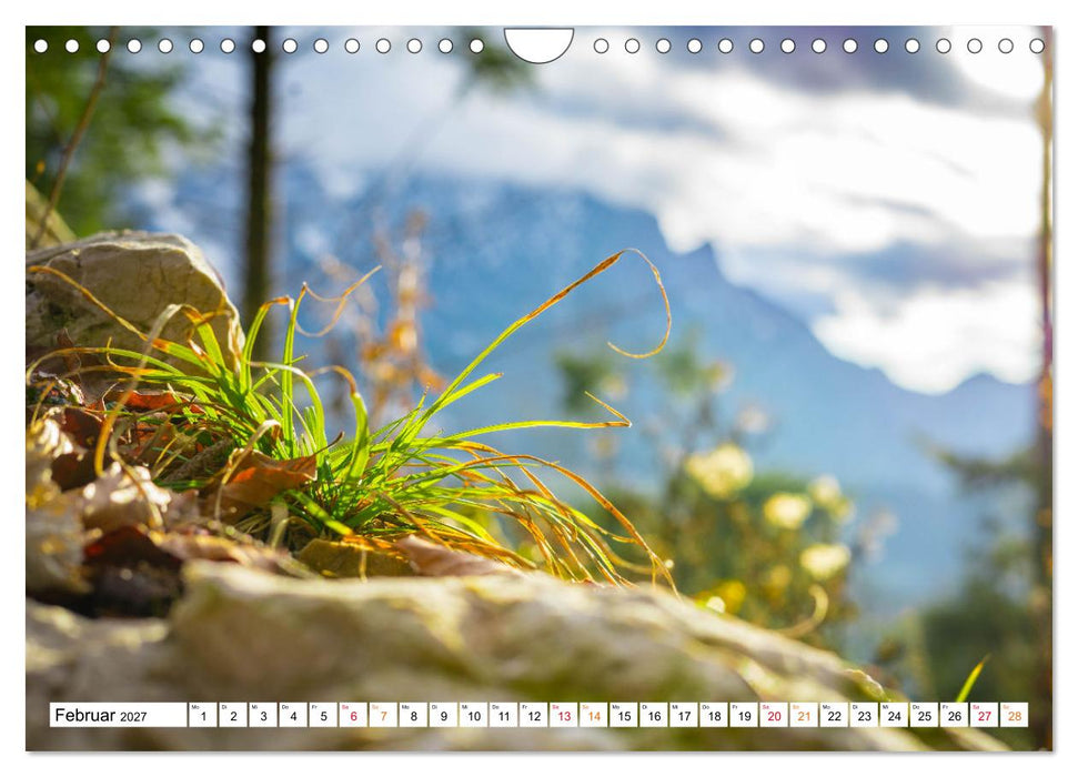 Natur hautnah Kalender (CALVENDO Wandkalender 2027)