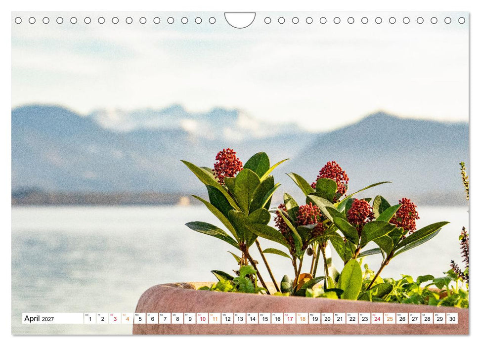 Natur hautnah Kalender (CALVENDO Wandkalender 2027)
