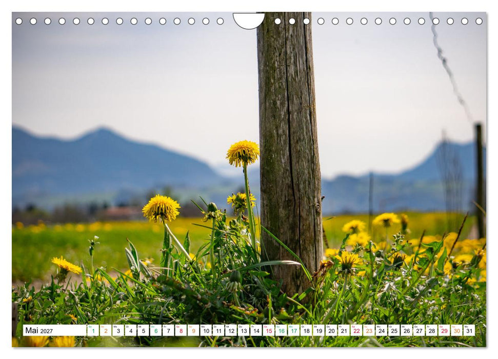 Natur hautnah Kalender (CALVENDO Wandkalender 2027)