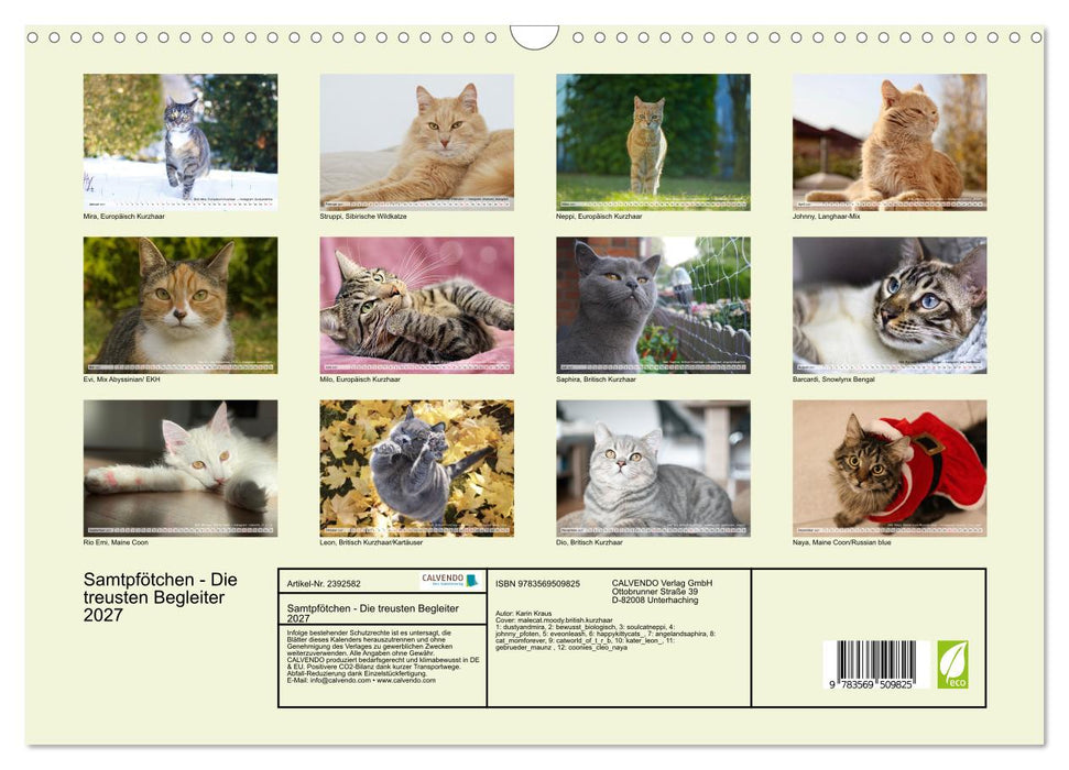 Samtpfötchen - Die treusten Begleiter 2027 (CALVENDO Wandkalender 2027)