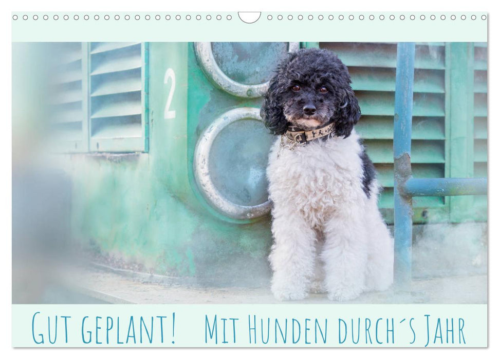 Gut geplant! Mit Hunden durch´s Jahr (CALVENDO Wandkalender 2027)