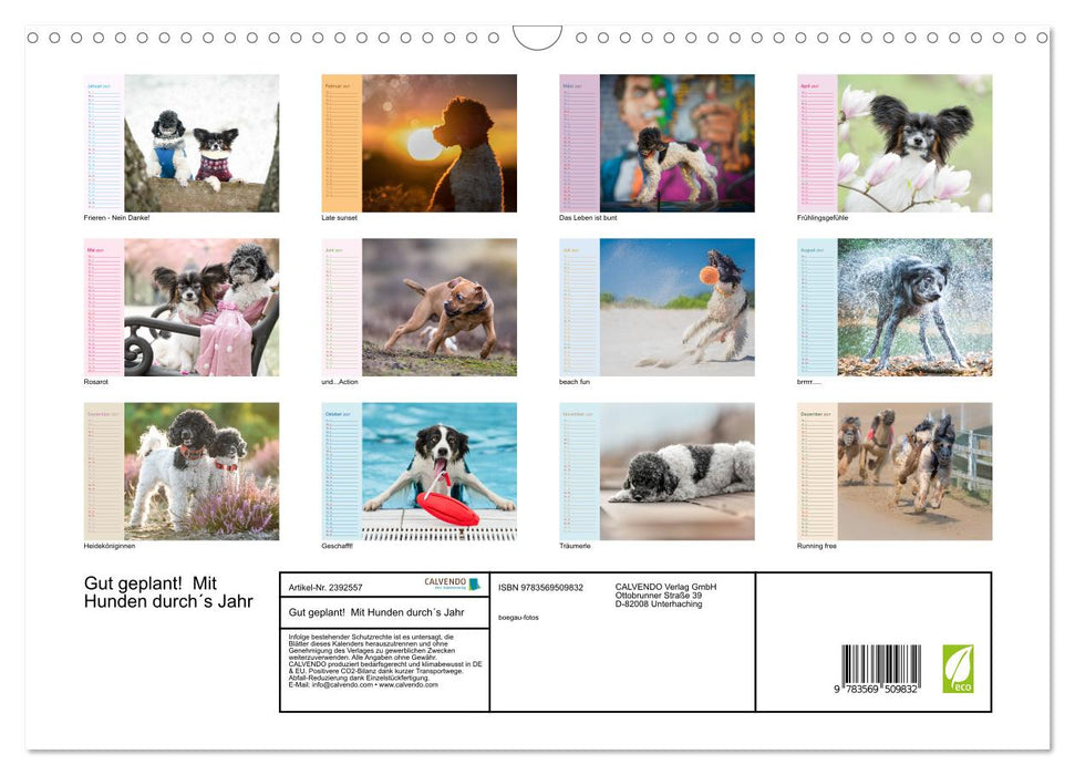 Gut geplant! Mit Hunden durch´s Jahr (CALVENDO Wandkalender 2027)