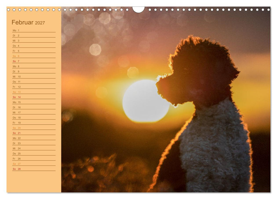 Gut geplant! Mit Hunden durch´s Jahr (CALVENDO Wandkalender 2027)