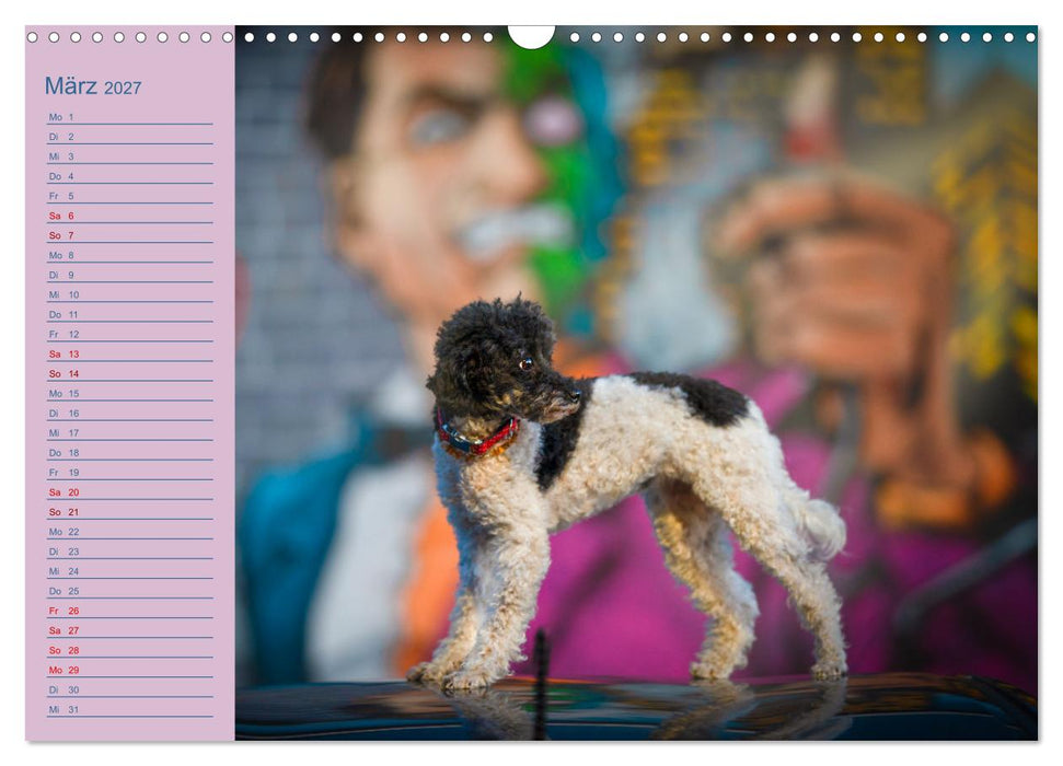 Gut geplant! Mit Hunden durch´s Jahr (CALVENDO Wandkalender 2027)