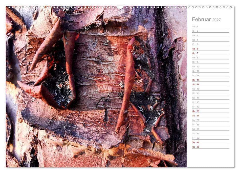 Abstrakte Umwelt (CALVENDO Wandkalender 2027)
