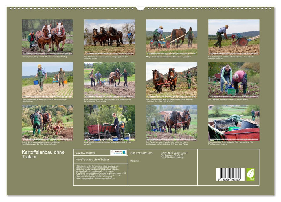 Kartoffelanbau ohne Traktor (CALVENDO Wandkalender 2027)