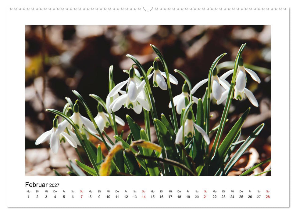 Mein Sehnsuchtsort, der Garten (CALVENDO Premium Wandkalender 2027)