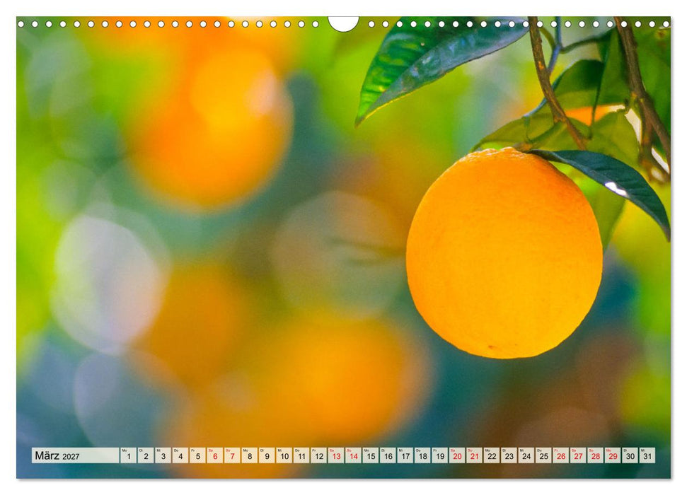 Immer wieder Mallorca (CALVENDO Wandkalender 2027)