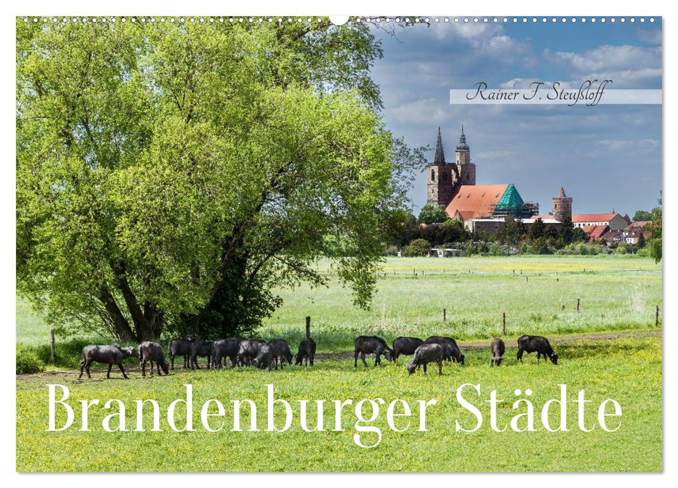 Brandenburger Städte (CALVENDO Wandkalender 2027)