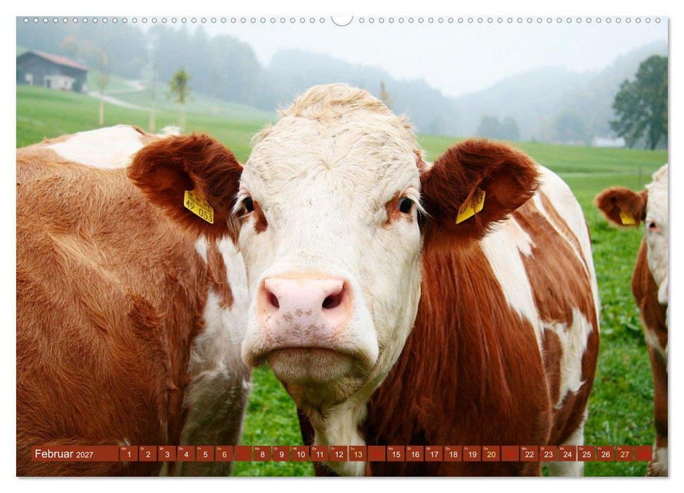 Glückliche Tiere (CALVENDO Premium Wandkalender 2027)