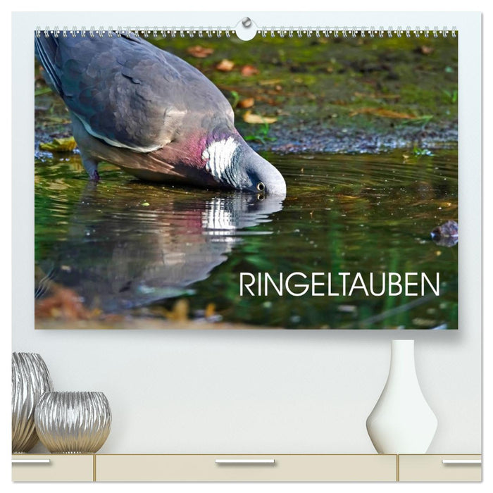 Ringeltauben (CALVENDO Premium Wandkalender 2027)