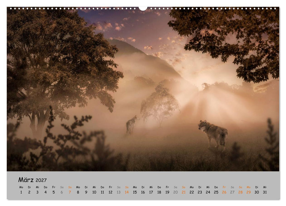 Der lange Weg der Wölfe (CALVENDO Premium Wandkalender 2027)