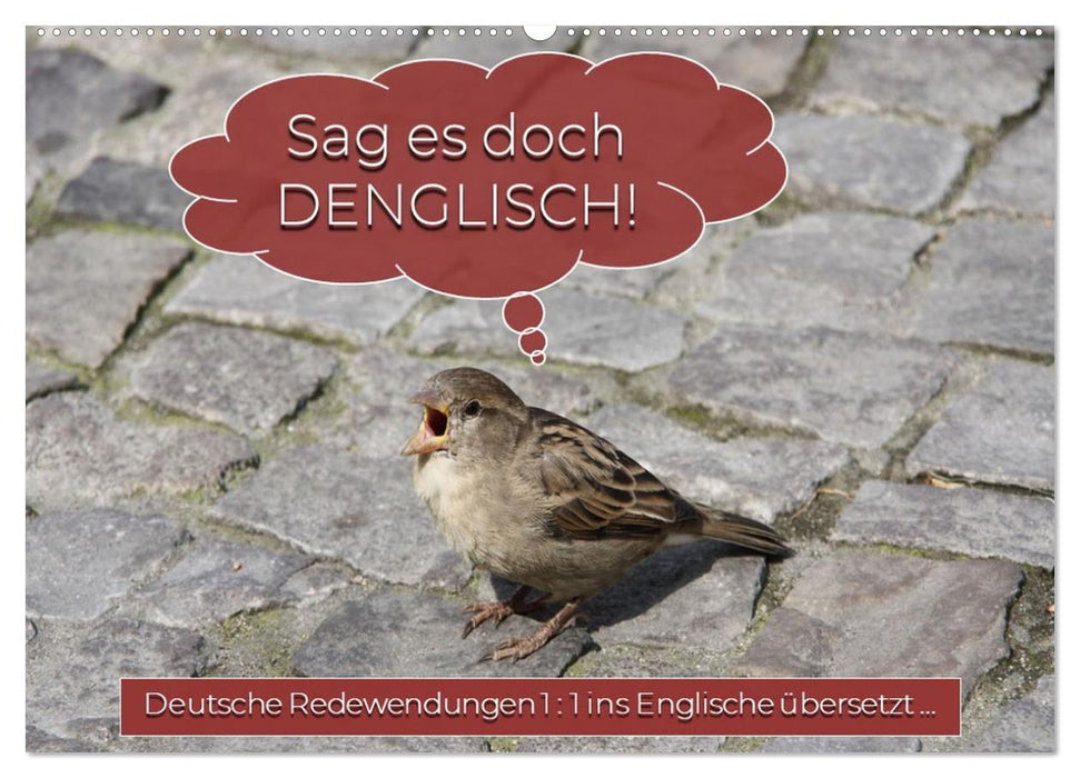 Sag es doch DENGLISCH (CALVENDO Wandkalender 2027)