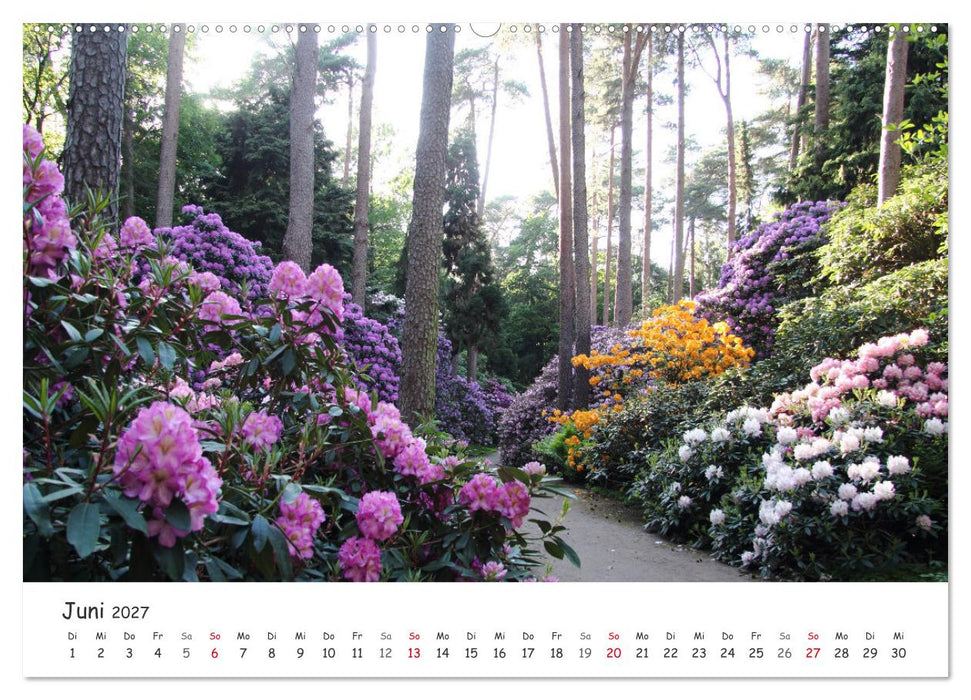 Zauberhaftes Ammerland (CALVENDO Wandkalender 2027)