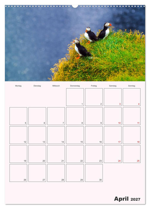 Papageitaucher Monatsplaner (CALVENDO Wandkalender 2027)