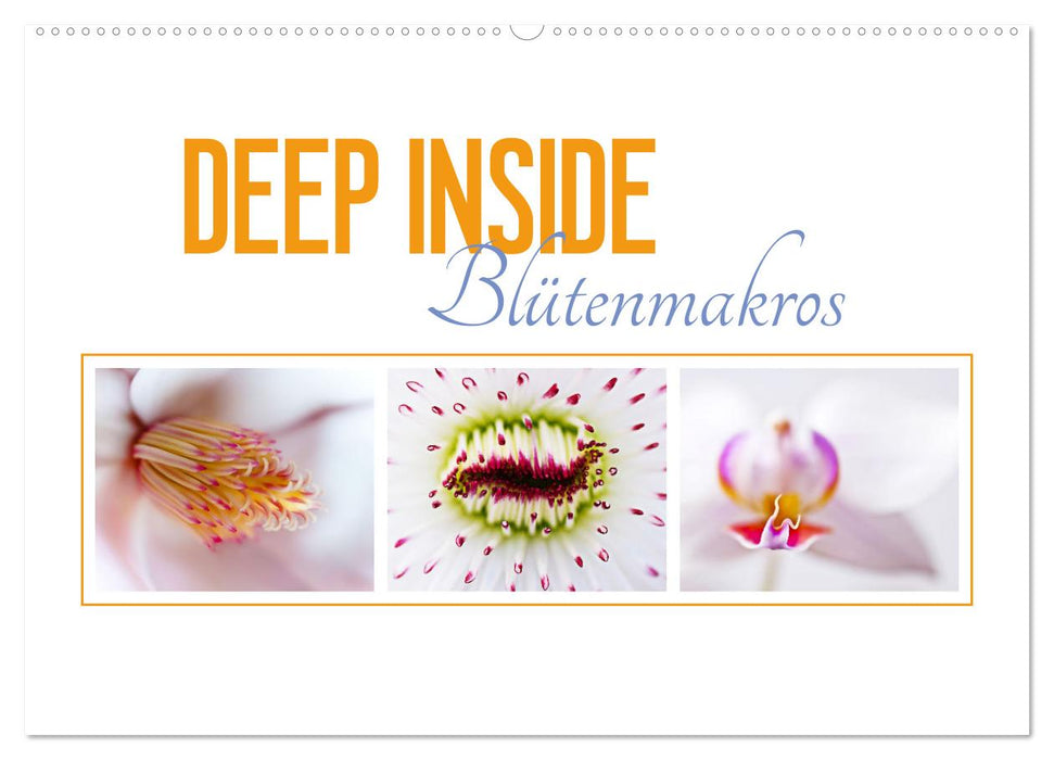 DEEP INSIDE - Blütenmakros (CALVENDO Wandkalender 2027)