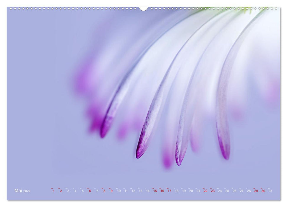 DEEP INSIDE - Blütenmakros (CALVENDO Wandkalender 2027)