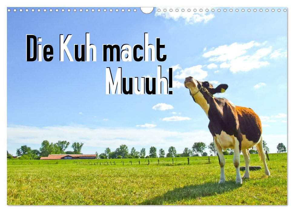 Die Kuh macht Muuuh! (CALVENDO Wandkalender 2027)