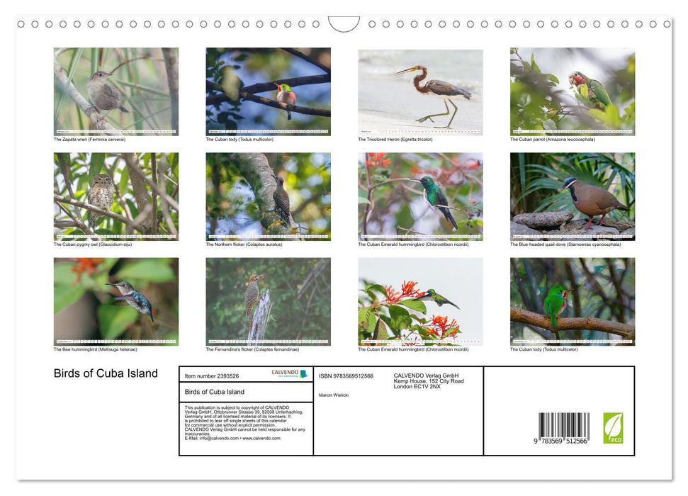 Birds of Cuba Island (CALVENDO Monthly Calendar 2027)