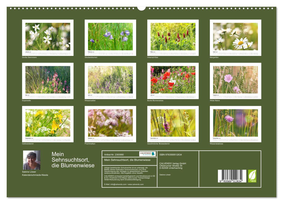 Mein Sehnsuchtsort, die Blumenwiese (CALVENDO Premium Wandkalender 2027)
